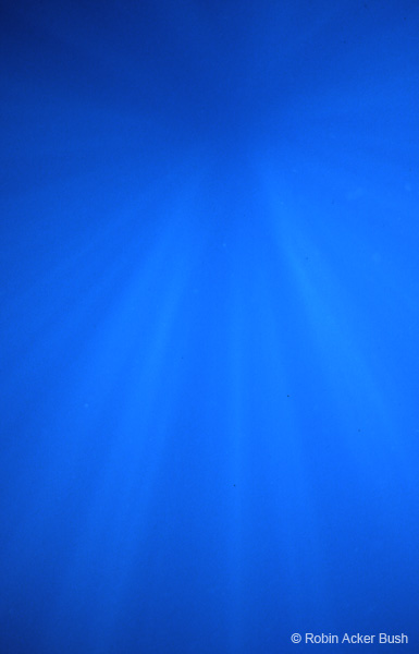 SEA058 light through the water at 60 feet, inspirational imagery for churches and education