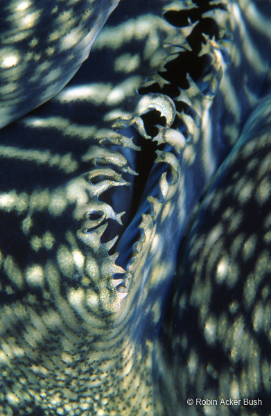 SEA124