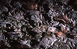 T025