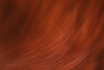 T046