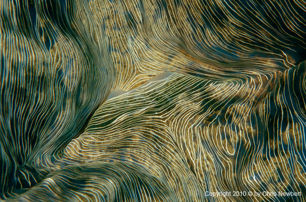 36-SEA248 natural images for hospitality interior design
