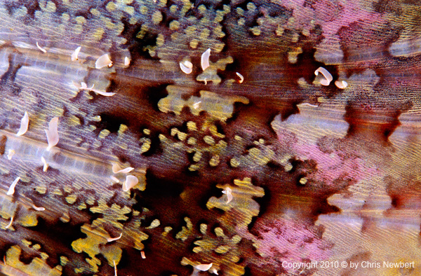 55-SEA291 Natural images creating tranquil environments in healthcare facilties