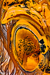 RO9345